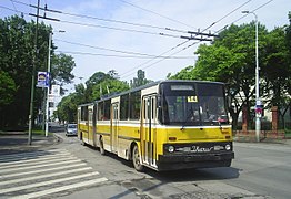 Ikarus-Gelenkwagen 15 aus Eberswalde