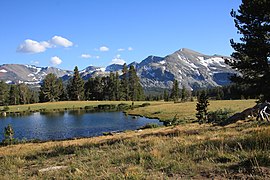 Tioga Pass o'tloqli ko'l Kuna Crest.jpg