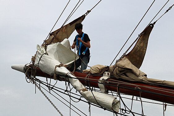 To tidy away the sail