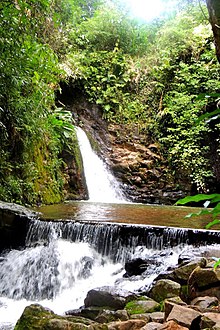 Cachoeira Toca Das Andorinhas.