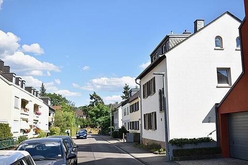 Trier-Heiligkreuz, Nachtigallenweg 20220705