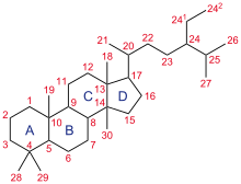 Structure of 24-ethyl-lanostane, a hypothetical steroid with 32 carbon atoms. Its core ring system (ABCD), composed of 17 carbon atoms, is shown with IUPAC-approved ring lettering and atom numbering. Trimethyl steroid-nomenclature.svg