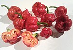 Trinidad Moruga Scorpion (rognée) .jpg