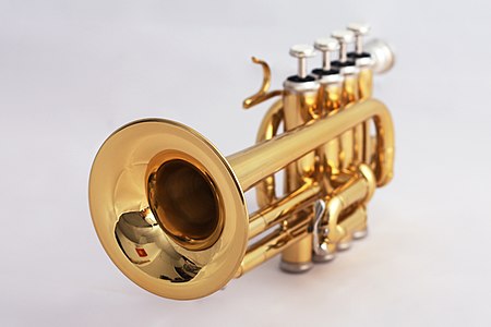 A piccolo trumpet.