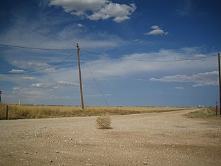 320px-Tumbleweed_rolling.jpg