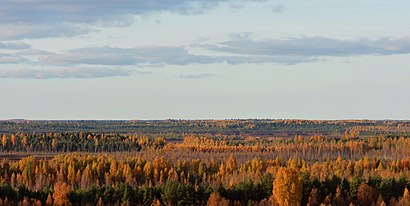 Kuidas ühistranspordiga sihtpunkti Viraksaare jõuda - kohast