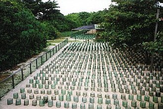 Turtle breeding Turtle Islands National Park.jpg