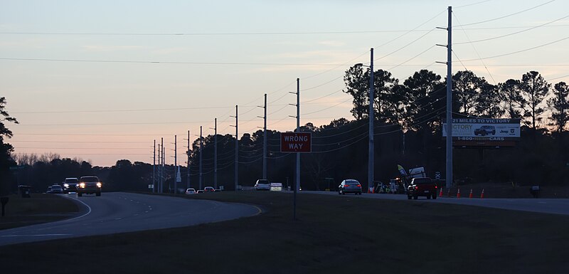 File:U.S. Route 17 South in Brunswick County (December 2023) 03.jpg