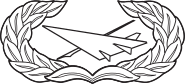 USAF - Occupational Badge - Historian