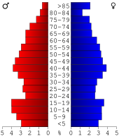 Bevolkingspiramide Iron County