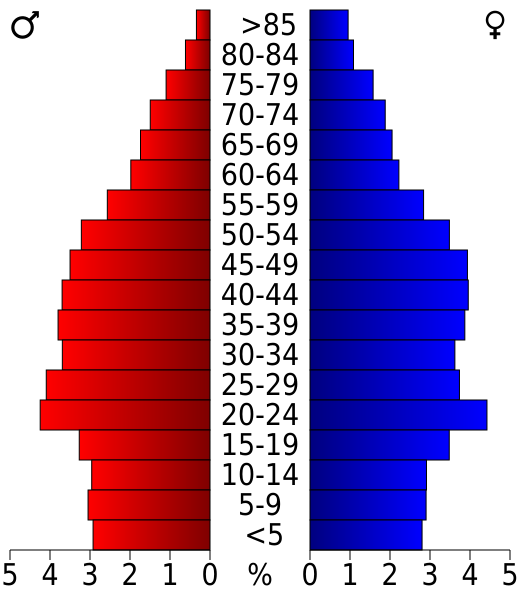 File:USA New Hanover County, North Carolina age pyramid.svg