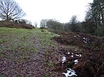 Ulverscroft Nature Reserve