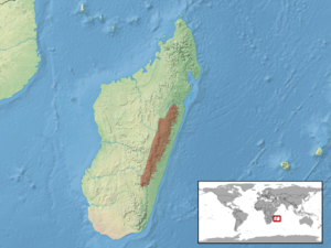 Uroplatus phantasticus distribution.png