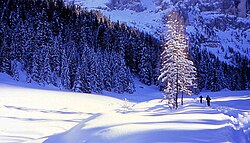 Val Venegia no inverno