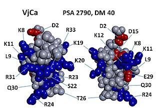 <span class="mw-page-title-main">Vejocalcin</span> Toxin