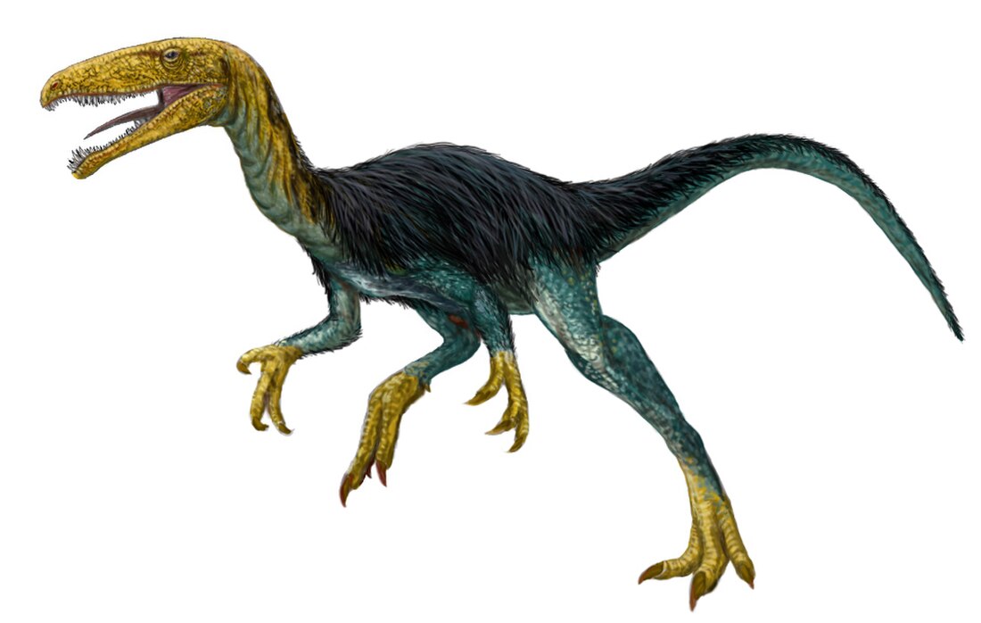 Welocizaur