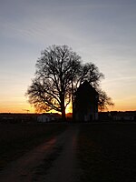 Linden beim Wasserturm von Kloster Indersdorf