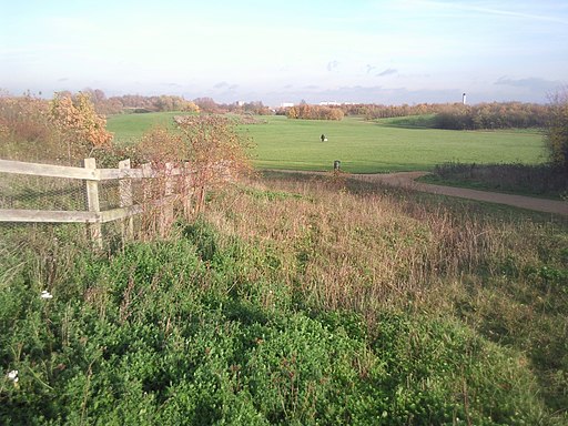 View across Bedfont Lakes Country Park - geograph.org.uk - 2252950