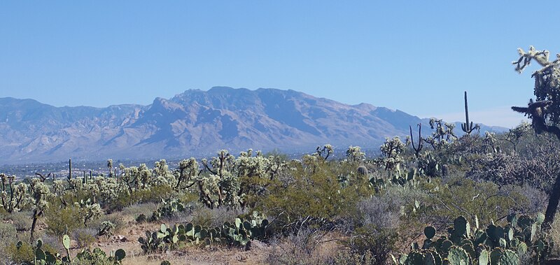 File:View of the Santa Catalina Mountains from West Saguaro National Park near Tuscon, AZ.jpg