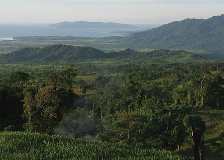 View of the northeast coast of Luzon from the foothills of Mt. Cagua - ZooKeys-266-001-g005.jpg