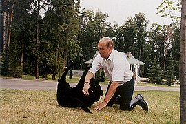 Vladimir Putin và Koni ở Novo-Ogaryovo, 2002.