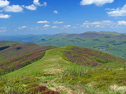 Bieszczady