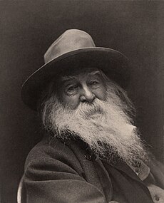 Walt Whitman - George Collins Cox.jpg