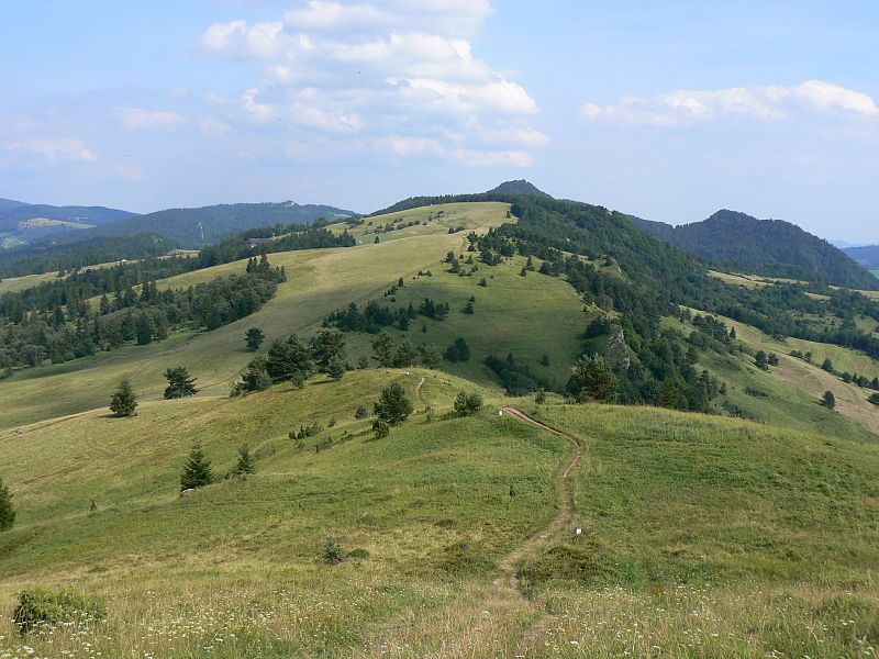 File:Widok na Dubraszkę - panoramio.jpg