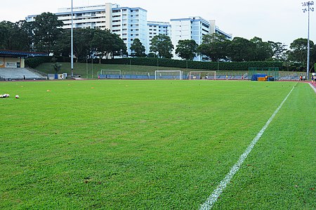 Woodlands Stadium Pitch