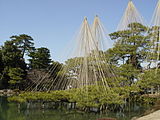 Estructuras que soportan los pinos y algunos árboles en el Jardín Kenroku.
