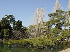 Estructuras que soportan los pinos y algunos árboles en el Jardín Kenroku.