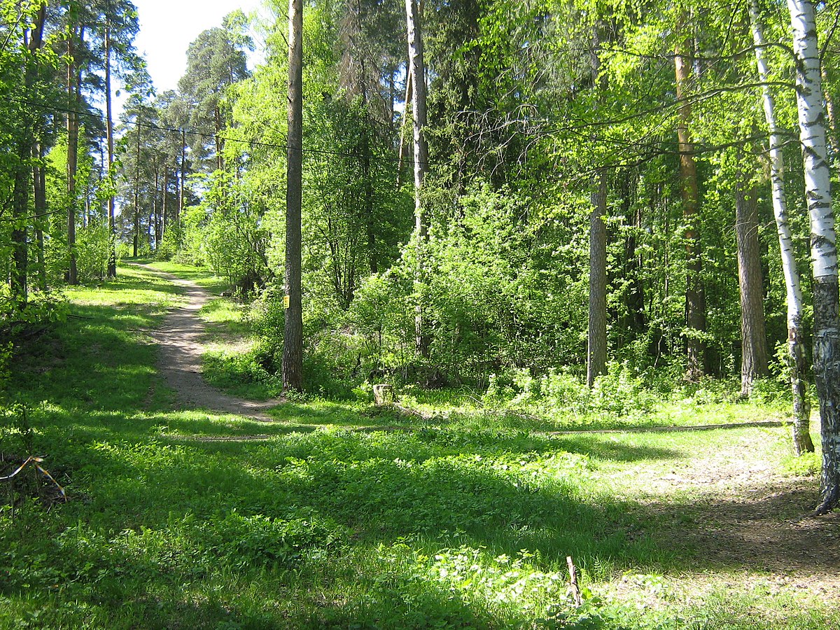 кинешма парк культуры и отдыха