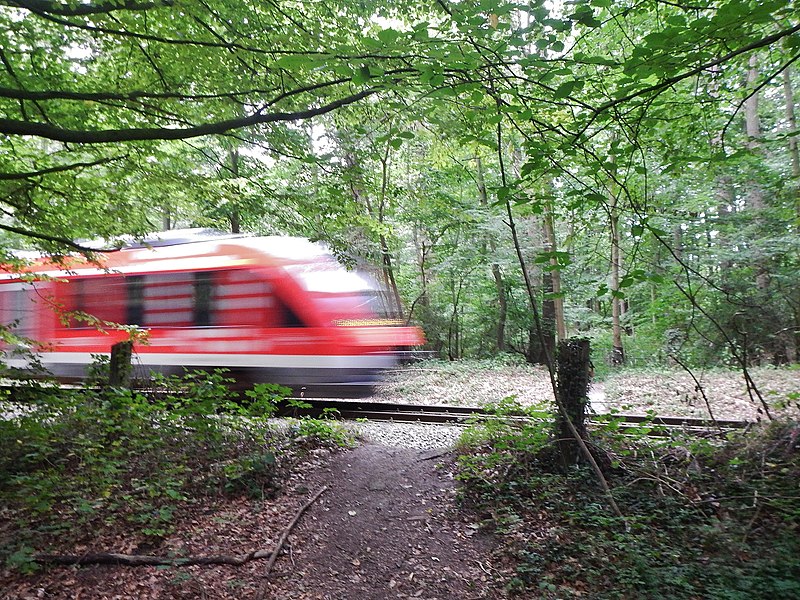 File:"Bahnübergang" in Oeverdiek - panoramio.jpg