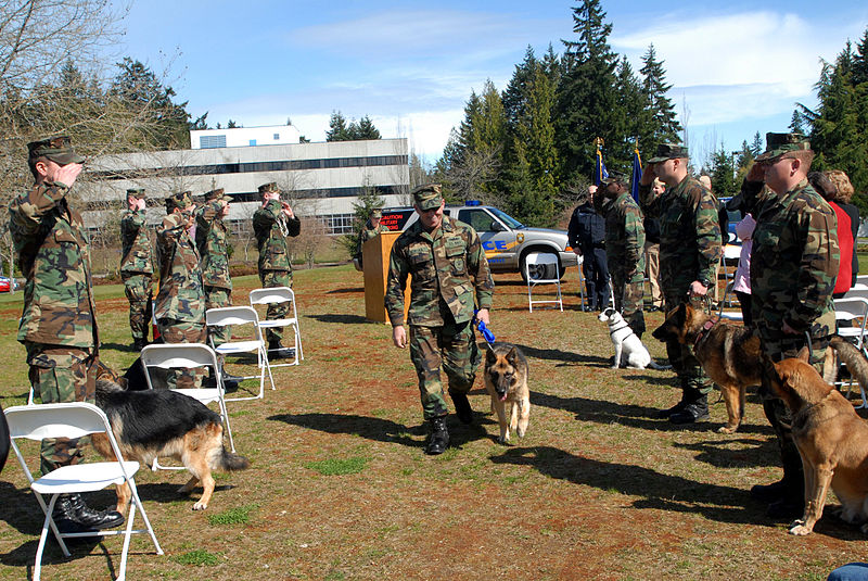 File:'Benny' the Working Dog Retires DVIDS165312.jpg