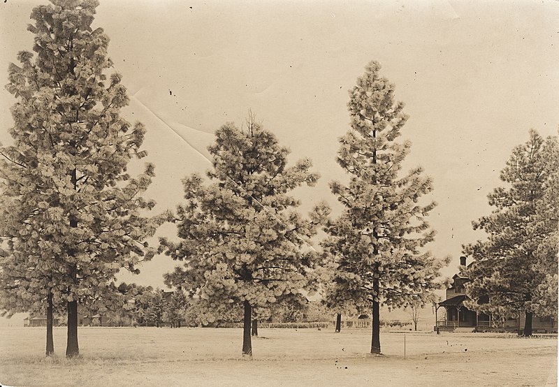 File:'Fort Spokane Officers' Row, Agency Period' (bad4dfbf-7004-4fca-bbcc-32417f7641de).jpg