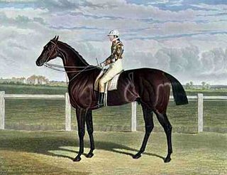 Rockingham (horse) British Thoroughbred racehorse