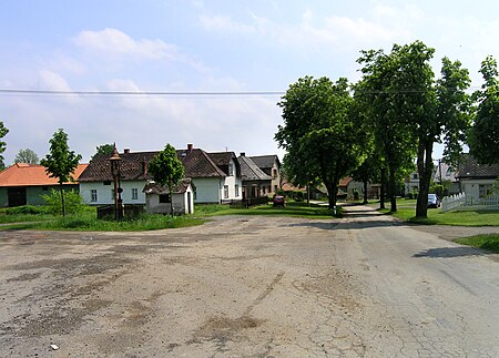 Ždírec, common