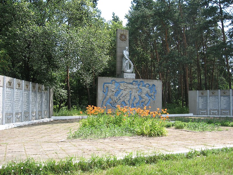 File:Братська могила радянських воїнів та пам’ятник воїнам-землякам 01.jpg