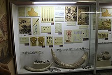 Відділ археології ІФКМ