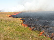 Steppe fire in the Kostanay Region, Kazakhstan Pal vostochnee Derzhavinska.jpg