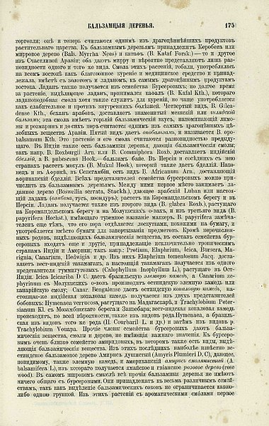File:Русский энциклопедический словарь Березина 1.3 175.jpg