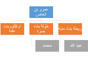 عمرو بن العاص: نسبه, مولده ونشأته, قبل إسلامه