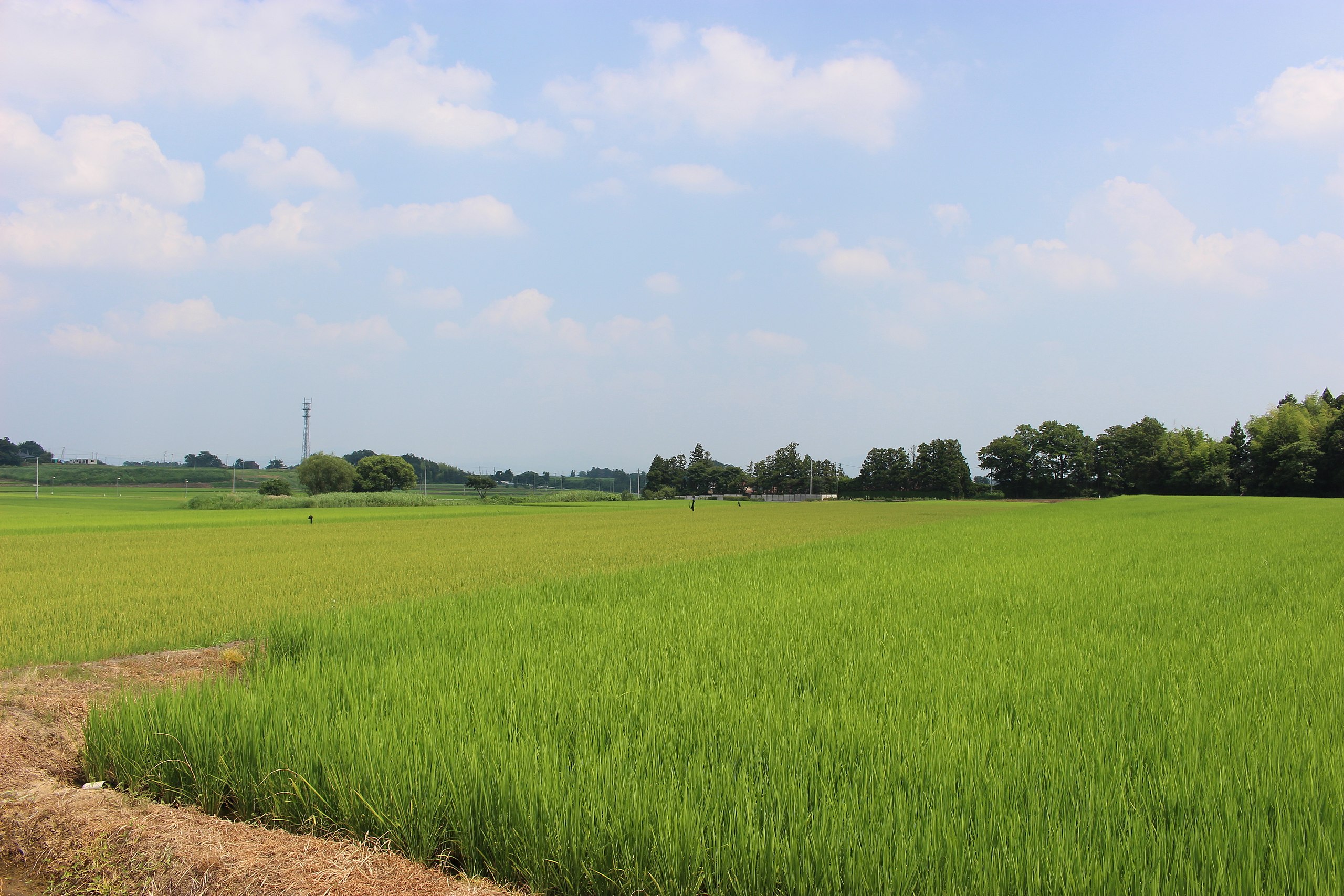 File 三穂田町の田園風景 Jpg Wikimedia Commons