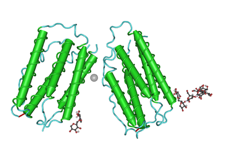 Interferon_beta-1a