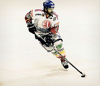 <span class="mw-page-title-main">David Borrelli (ice hockey)</span> Canadian-born Italian ice hockey player