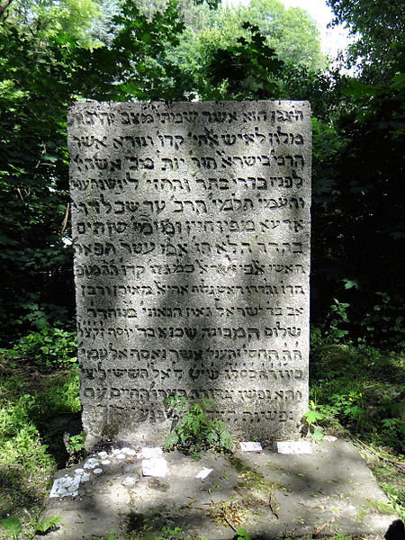 File:2013 Old jewish cemetery in Lublin - 24.jpg