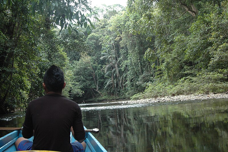 File:2014 Borneo Luyten-De-Hauwere-Canoe-04.jpg