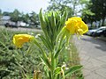 Saarbrücken, Juni 2019