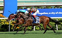 20230528 Chater Cup G1 Russian Emperor.jpg