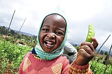 A child holding an edible pod pea in Kenya 2DU Kenya 83 (5366710925).jpg